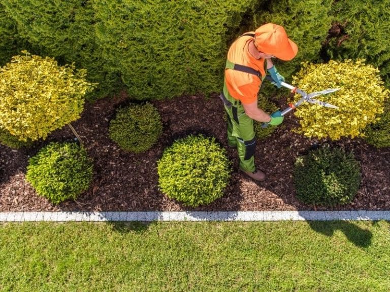 plan de plantation - Jardin