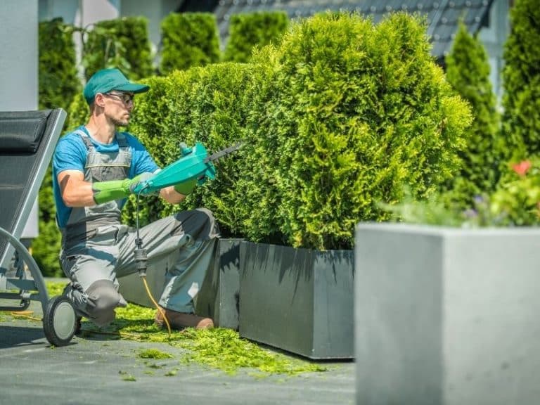 Quelles étapes pour réaliser l’aménagement de votre jardin